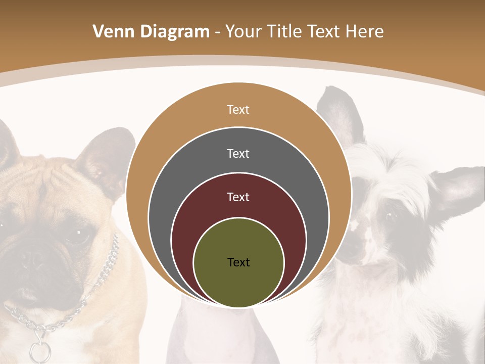 A Group Of Cats And Dogs Are Standing Together PowerPoint Template