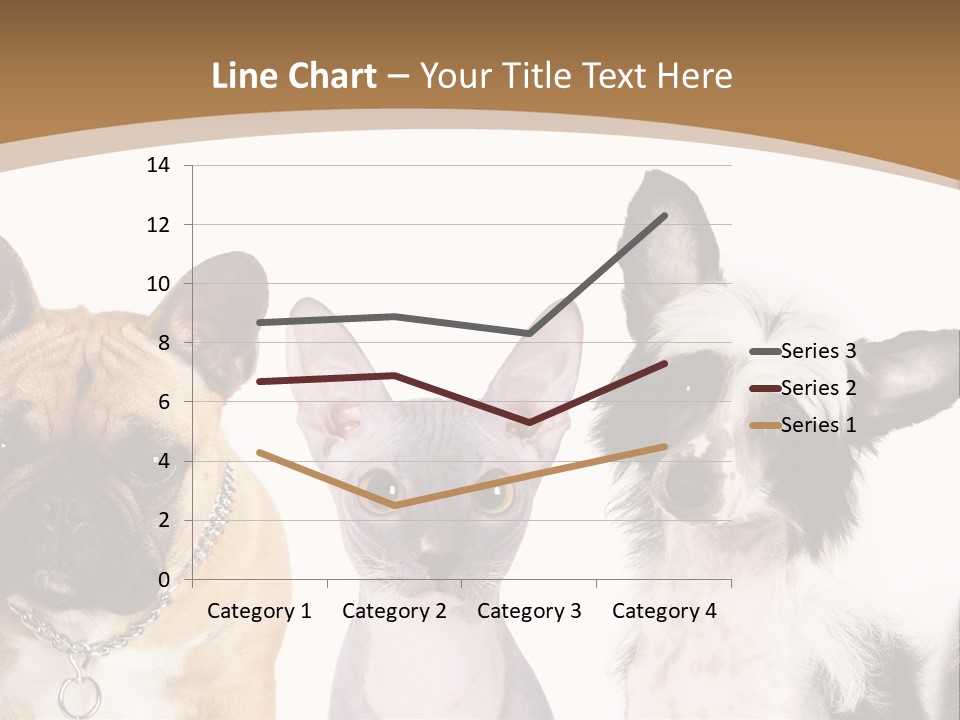 A Group Of Cats And Dogs Are Standing Together PowerPoint Template