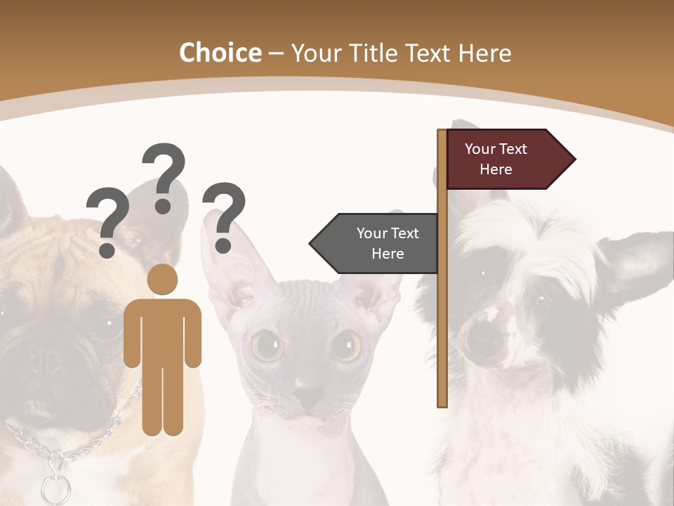 A Group Of Cats And Dogs Are Standing Together PowerPoint Template