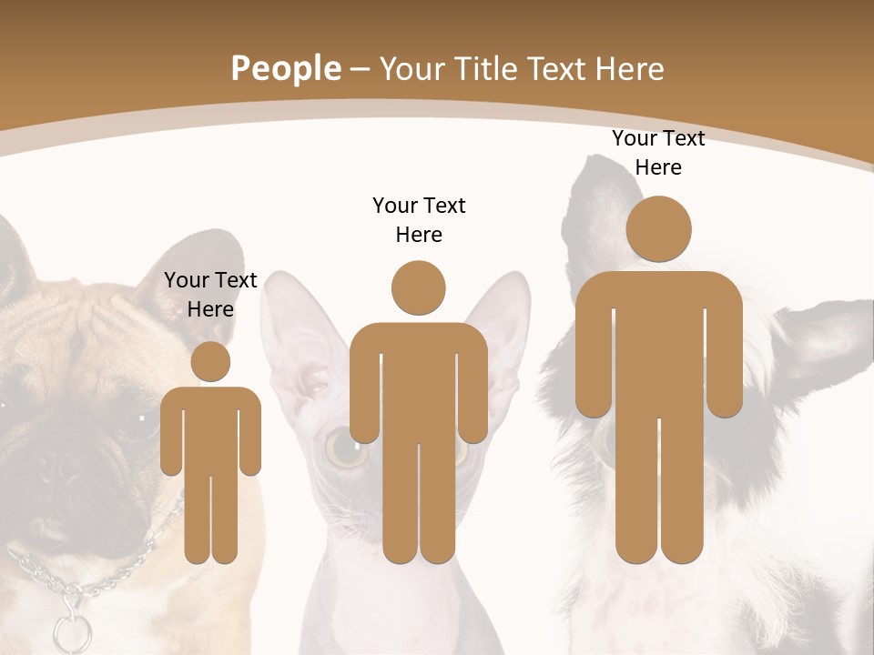 A Group Of Cats And Dogs Are Standing Together PowerPoint Template