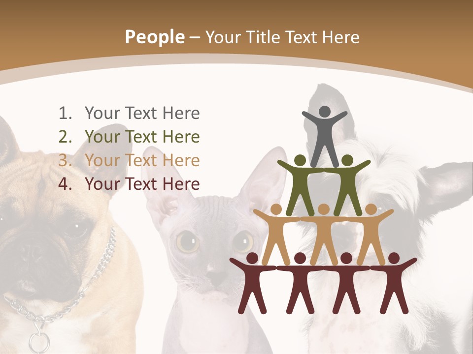 A Group Of Cats And Dogs Are Standing Together PowerPoint Template