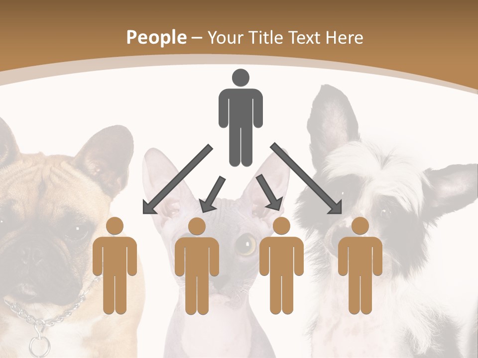 A Group Of Cats And Dogs Are Standing Together PowerPoint Template