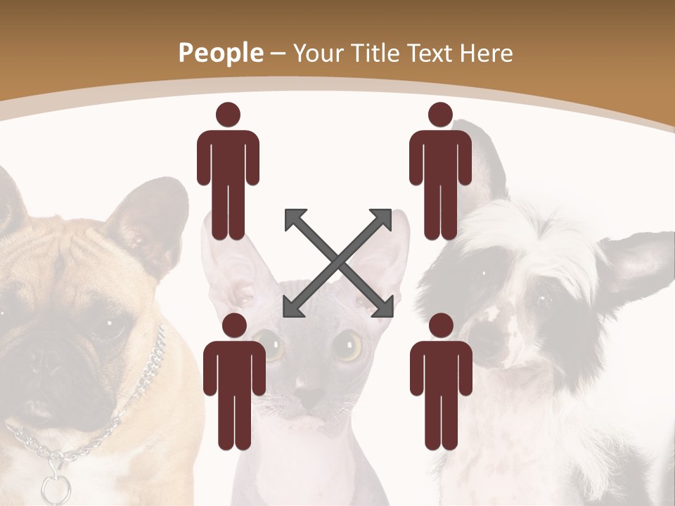 A Group Of Cats And Dogs Are Standing Together PowerPoint Template