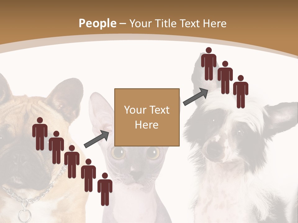 A Group Of Cats And Dogs Are Standing Together PowerPoint Template