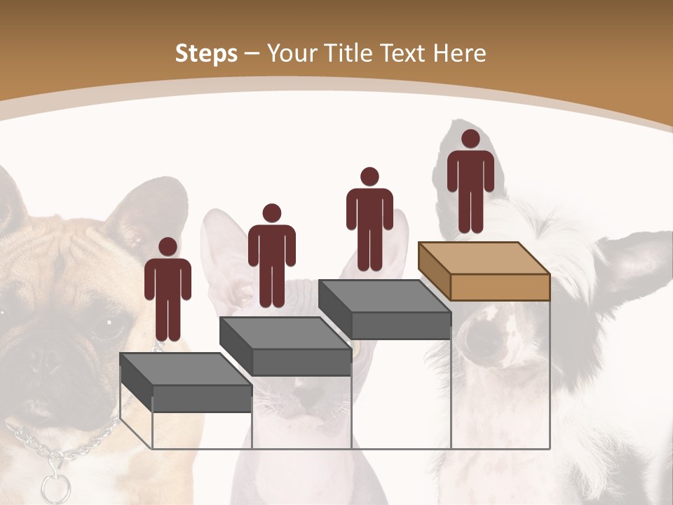 A Group Of Cats And Dogs Are Standing Together PowerPoint Template