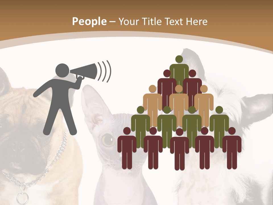 A Group Of Cats And Dogs Are Standing Together PowerPoint Template