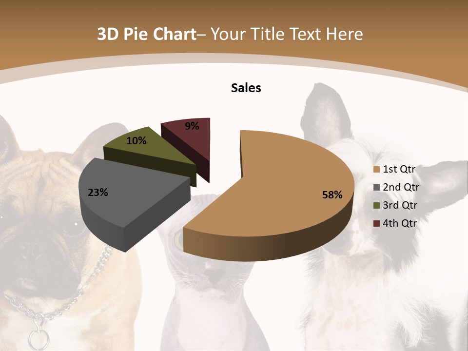 A Group Of Cats And Dogs Are Standing Together PowerPoint Template