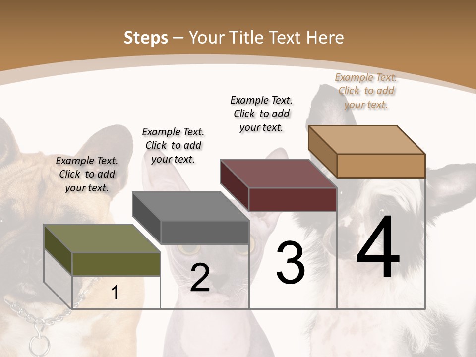 A Group Of Cats And Dogs Are Standing Together PowerPoint Template