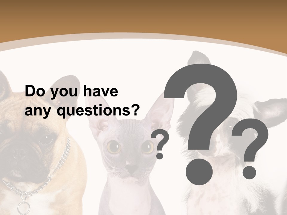 A Group Of Cats And Dogs Are Standing Together PowerPoint Template