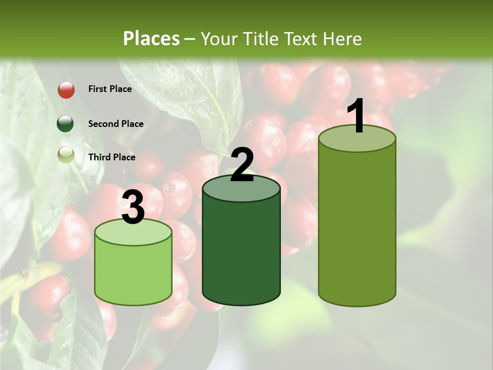A Bunch Of Red Berries Growing On A Tree PowerPoint Template