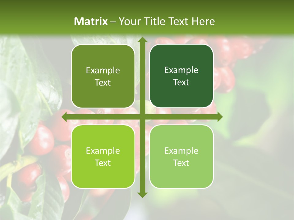 A Bunch Of Red Berries Growing On A Tree PowerPoint Template