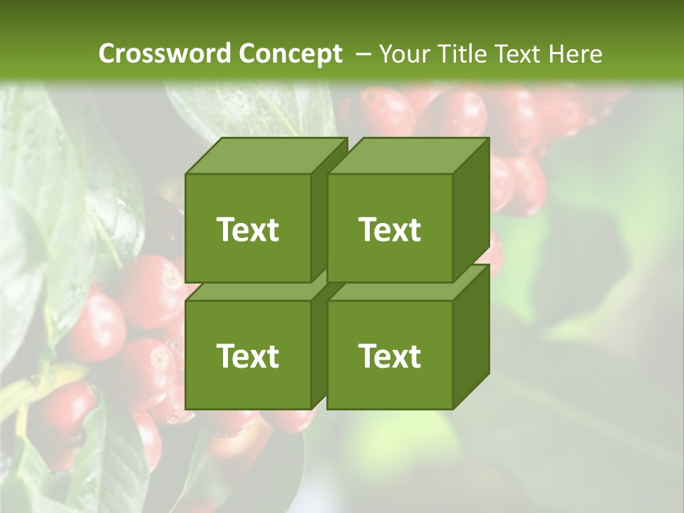 A Bunch Of Red Berries Growing On A Tree PowerPoint Template