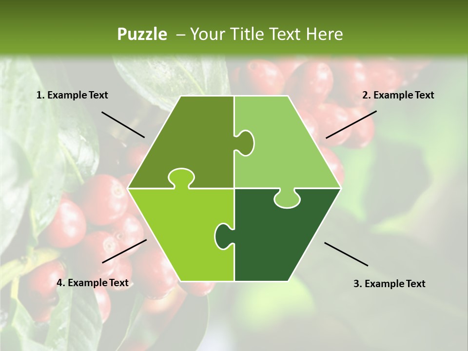 A Bunch Of Red Berries Growing On A Tree PowerPoint Template