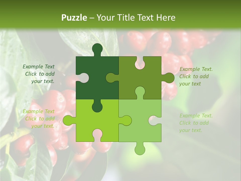A Bunch Of Red Berries Growing On A Tree PowerPoint Template