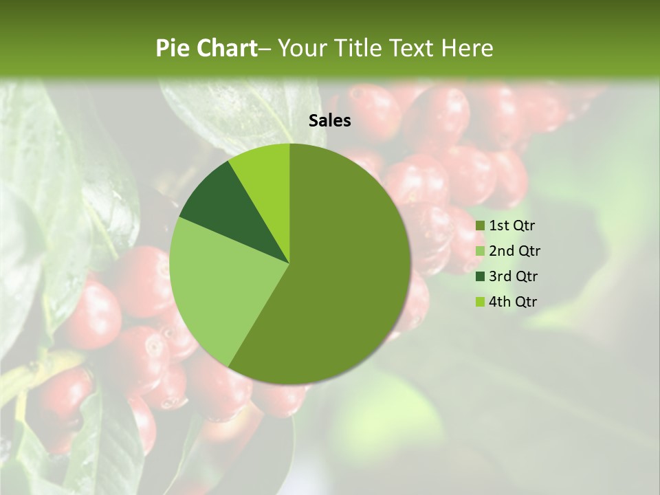 A Bunch Of Red Berries Growing On A Tree PowerPoint Template