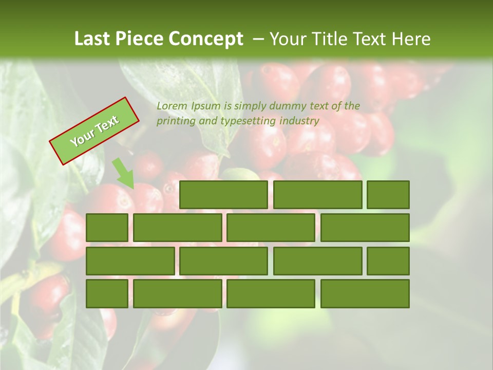 A Bunch Of Red Berries Growing On A Tree PowerPoint Template