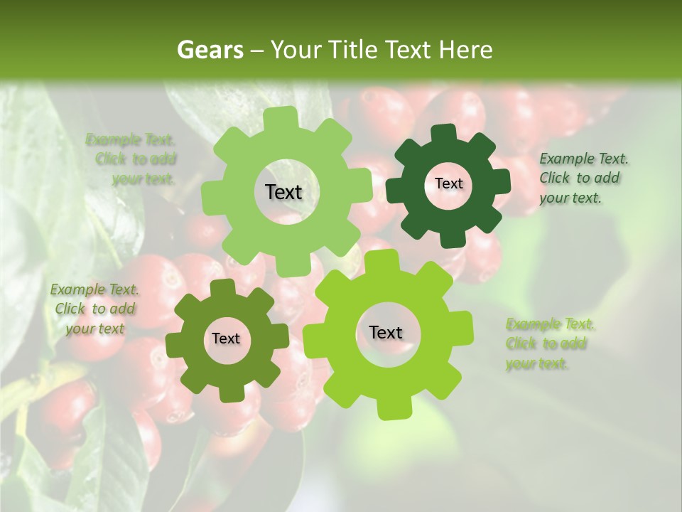 A Bunch Of Red Berries Growing On A Tree PowerPoint Template