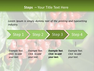 A Bunch Of Red Berries Growing On A Tree PowerPoint Template