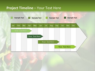 A Bunch Of Red Berries Growing On A Tree PowerPoint Template