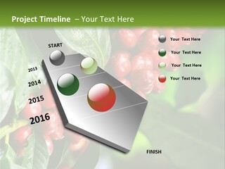 A Bunch Of Red Berries Growing On A Tree PowerPoint Template