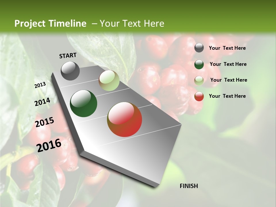 A Bunch Of Red Berries Growing On A Tree PowerPoint Template