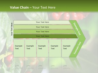 A Bunch Of Red Berries Growing On A Tree PowerPoint Template