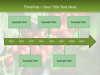 A Bunch Of Red Berries Growing On A Tree PowerPoint Template