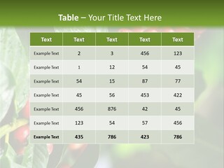 A Bunch Of Red Berries Growing On A Tree PowerPoint Template