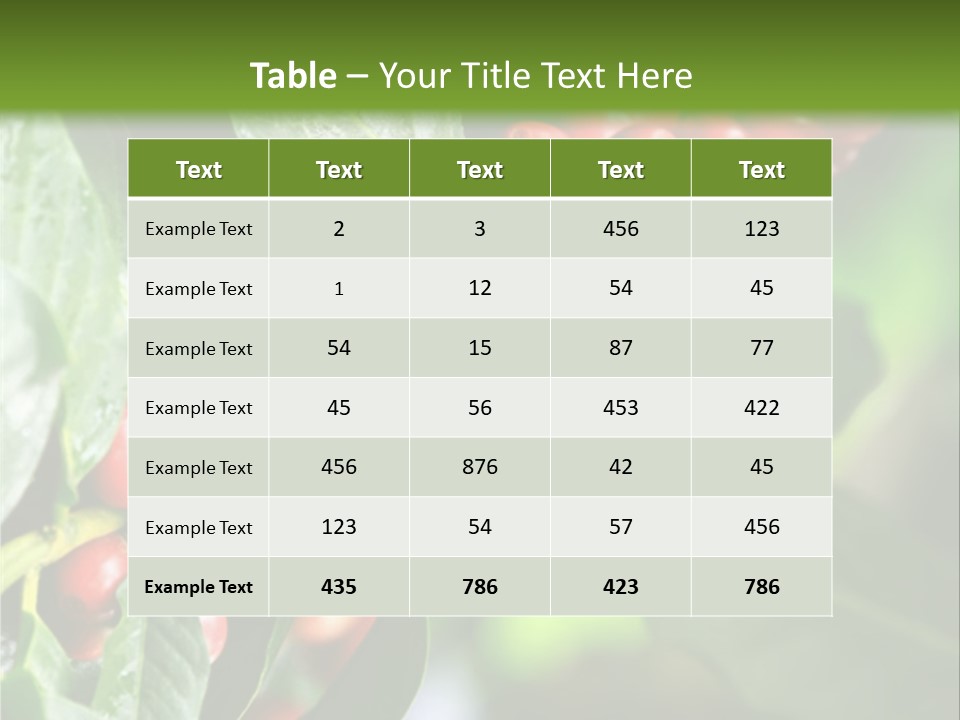 A Bunch Of Red Berries Growing On A Tree PowerPoint Template