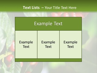 A Bunch Of Red Berries Growing On A Tree PowerPoint Template