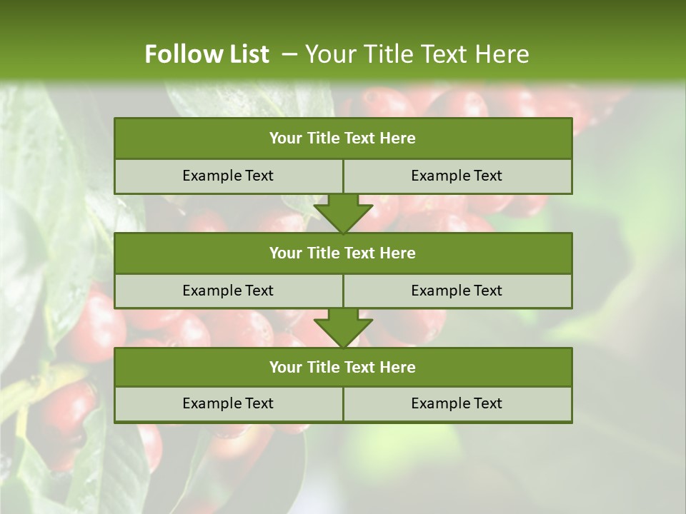 A Bunch Of Red Berries Growing On A Tree PowerPoint Template