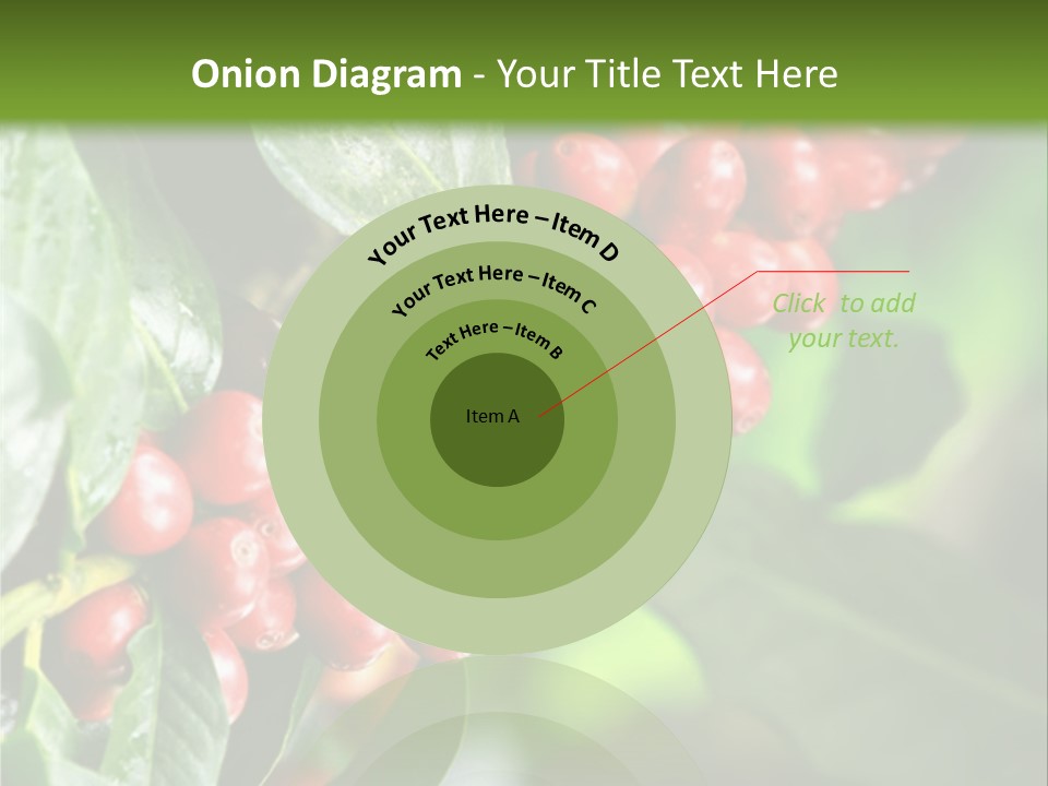 A Bunch Of Red Berries Growing On A Tree PowerPoint Template