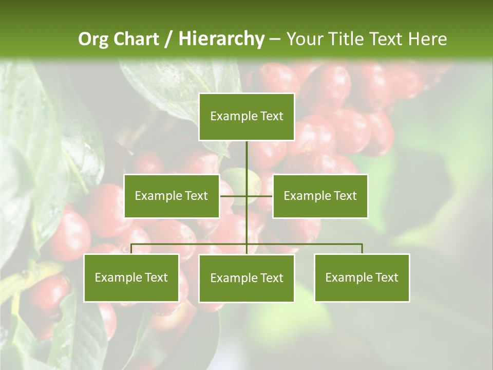 A Bunch Of Red Berries Growing On A Tree PowerPoint Template