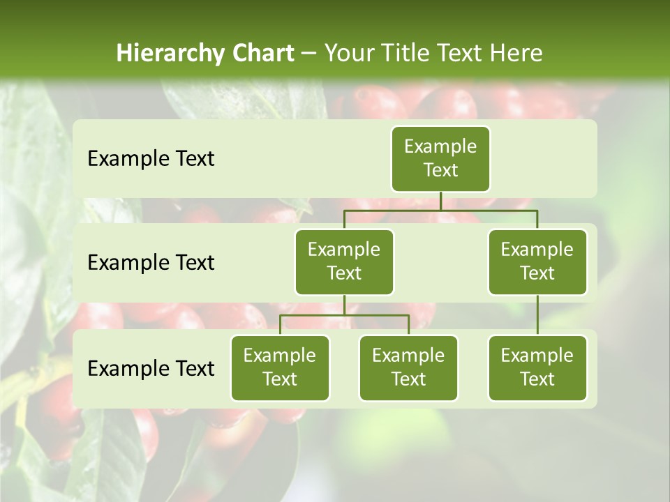 A Bunch Of Red Berries Growing On A Tree PowerPoint Template