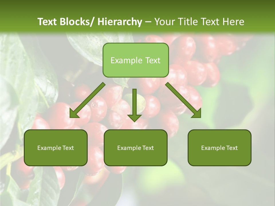A Bunch Of Red Berries Growing On A Tree PowerPoint Template