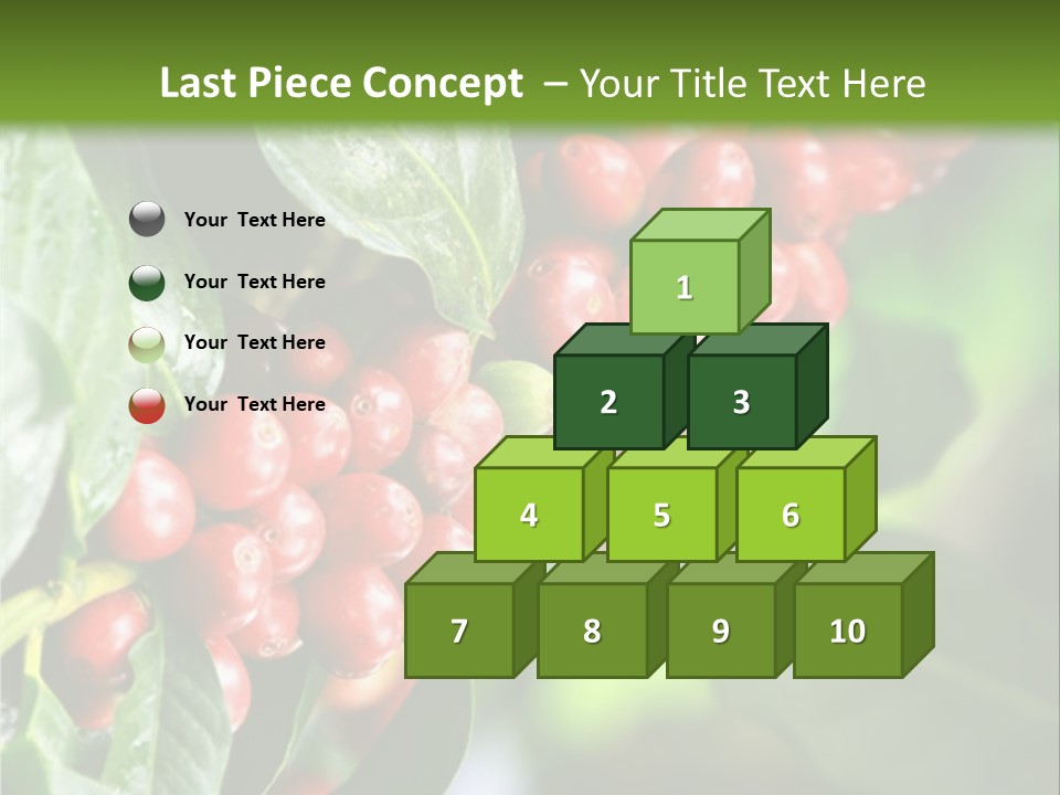 A Bunch Of Red Berries Growing On A Tree PowerPoint Template