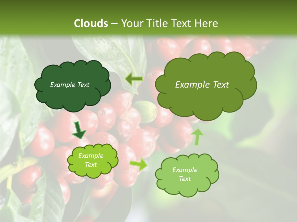 A Bunch Of Red Berries Growing On A Tree PowerPoint Template