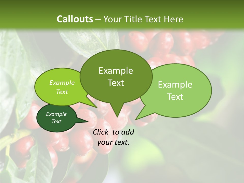 A Bunch Of Red Berries Growing On A Tree PowerPoint Template