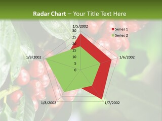 A Bunch Of Red Berries Growing On A Tree PowerPoint Template