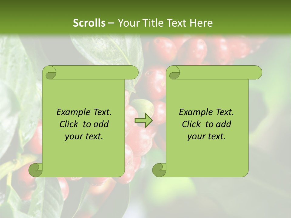 A Bunch Of Red Berries Growing On A Tree PowerPoint Template