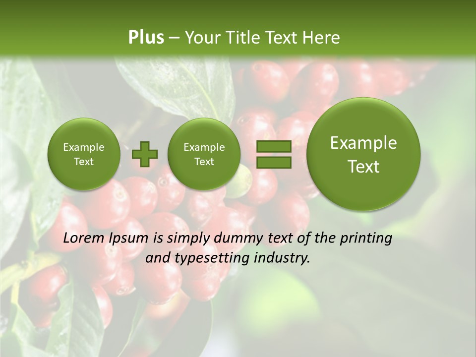 A Bunch Of Red Berries Growing On A Tree PowerPoint Template