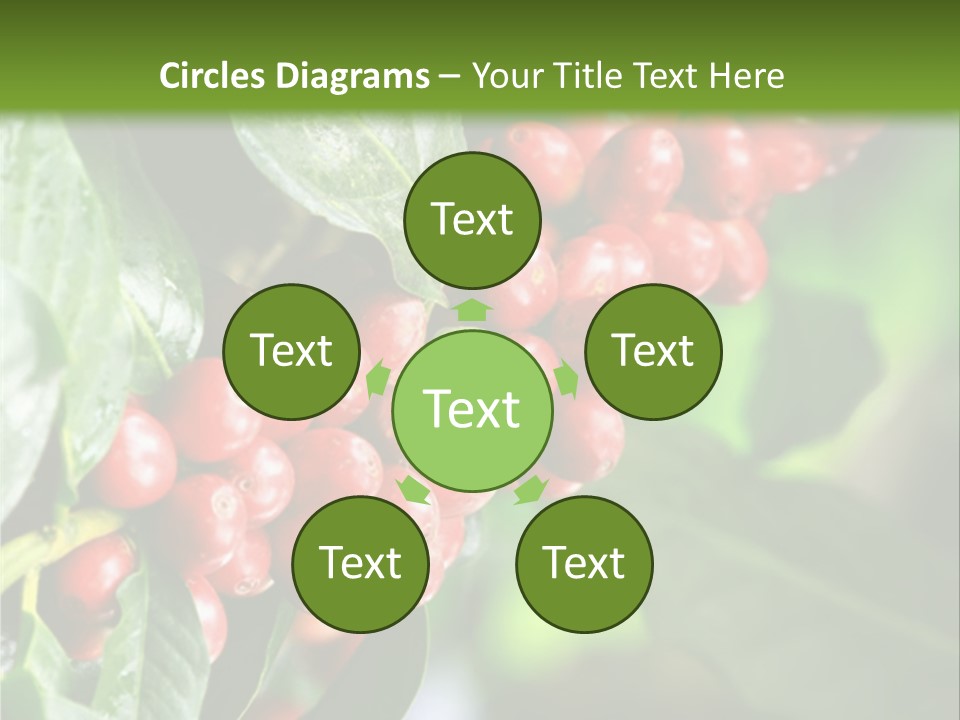 A Bunch Of Red Berries Growing On A Tree PowerPoint Template