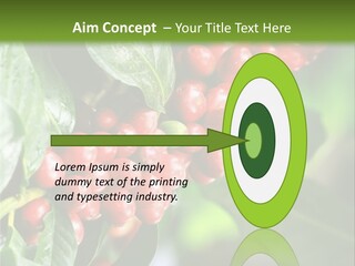 A Bunch Of Red Berries Growing On A Tree PowerPoint Template