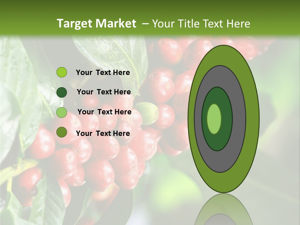 A Bunch Of Red Berries Growing On A Tree PowerPoint Template