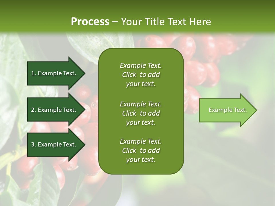 A Bunch Of Red Berries Growing On A Tree PowerPoint Template