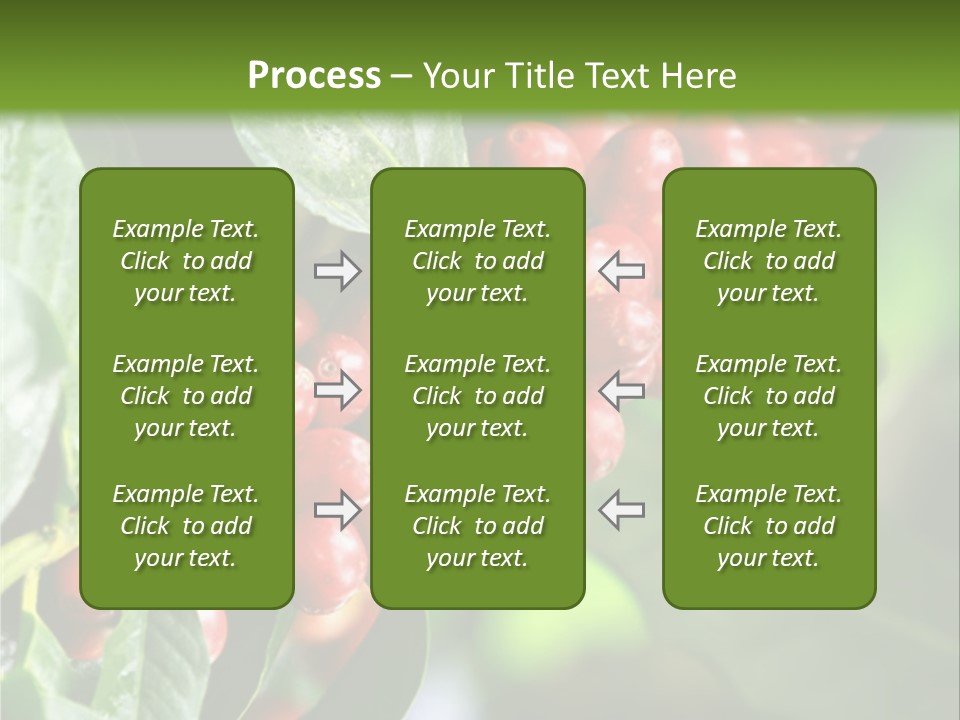A Bunch Of Red Berries Growing On A Tree PowerPoint Template
