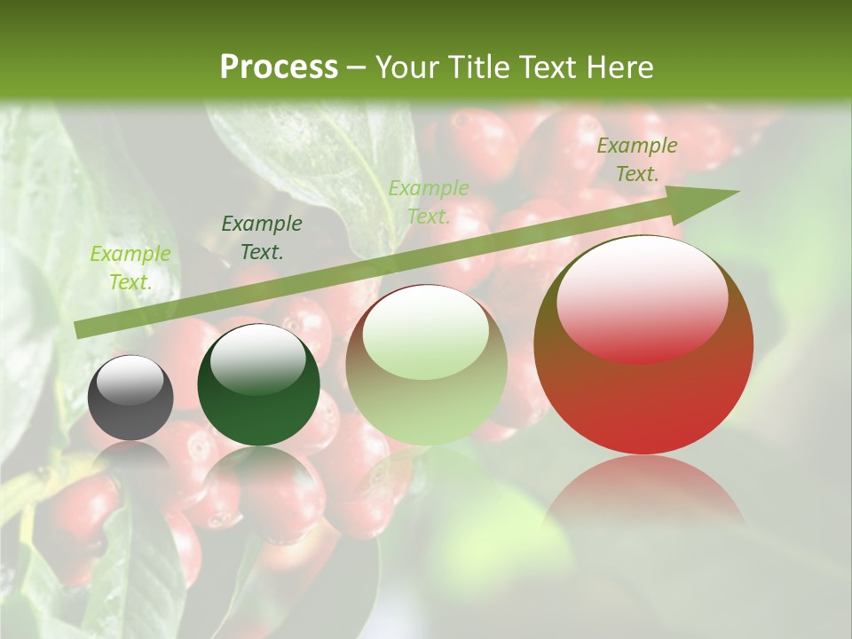 A Bunch Of Red Berries Growing On A Tree PowerPoint Template