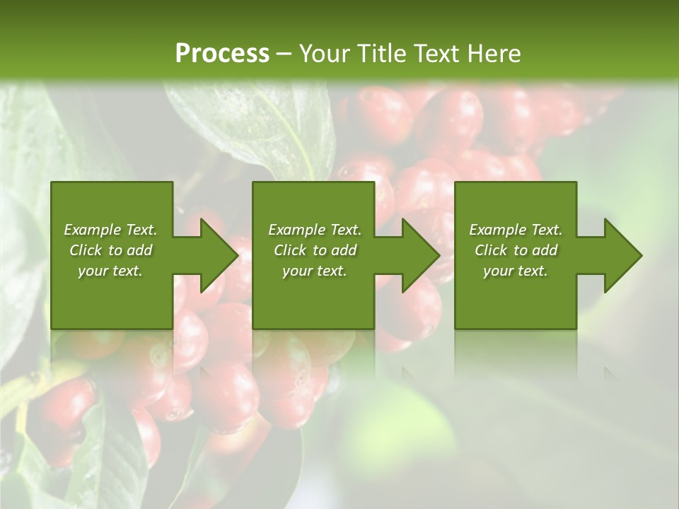 A Bunch Of Red Berries Growing On A Tree PowerPoint Template