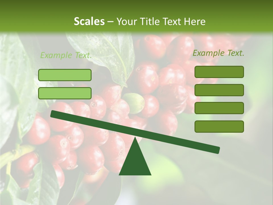 A Bunch Of Red Berries Growing On A Tree PowerPoint Template