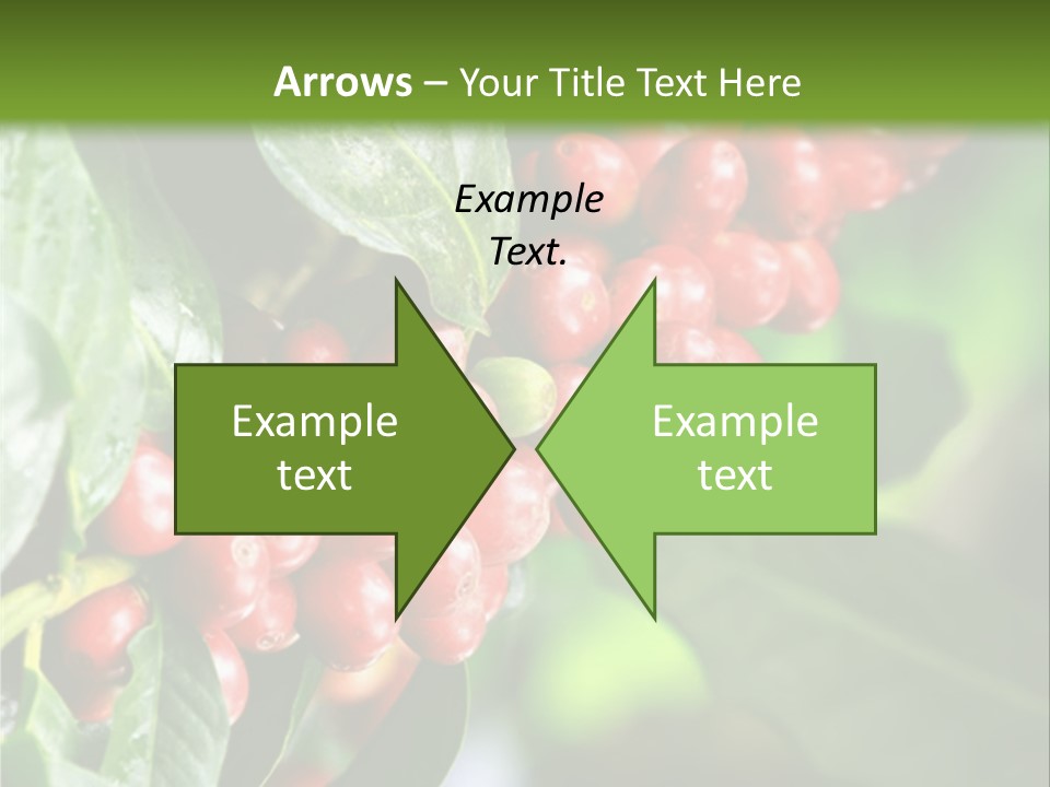 A Bunch Of Red Berries Growing On A Tree PowerPoint Template